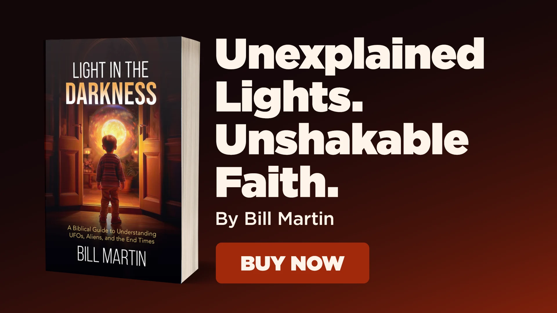 Light in the Darkness by Bill Martin