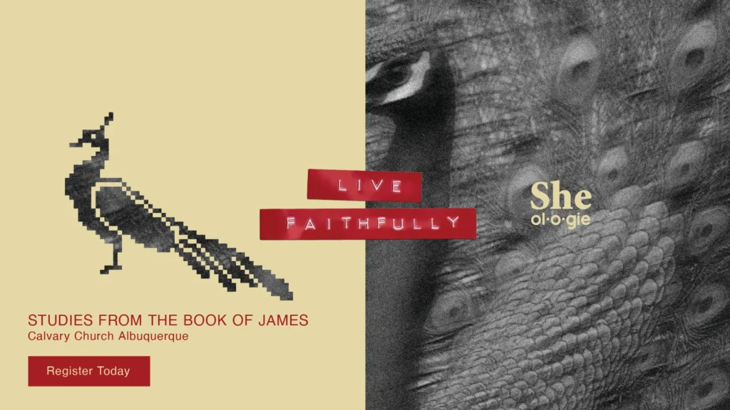 Sheologie Live Faithfully