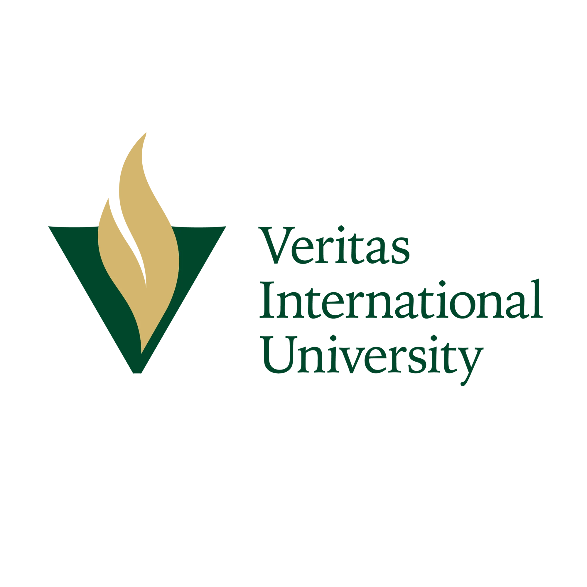 Veritas International University